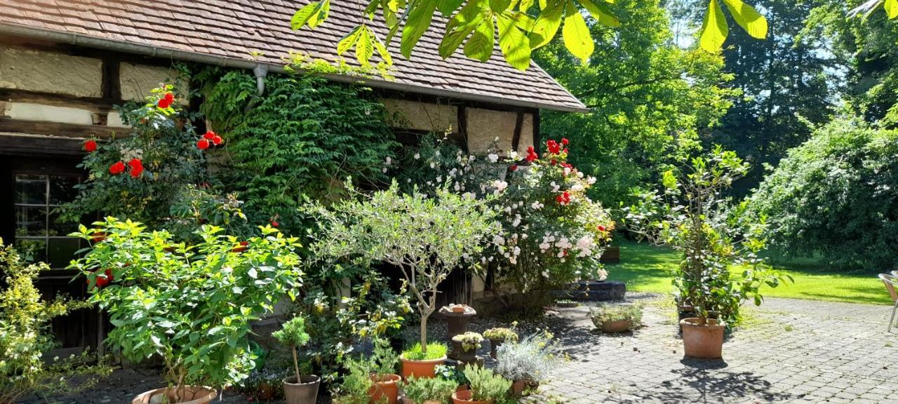 Villaflora Gaestehaus 리틀링겐 외부 사진