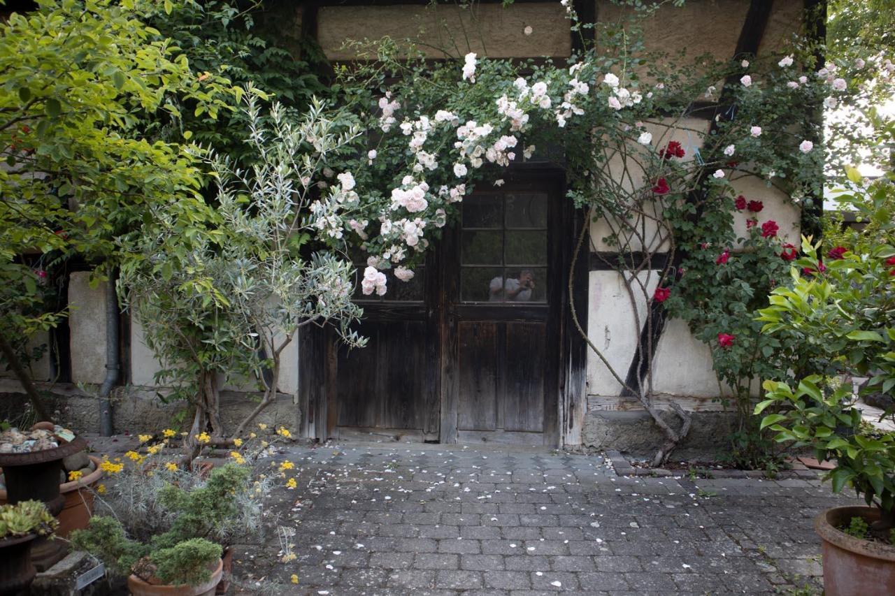 Villaflora Gaestehaus 리틀링겐 외부 사진